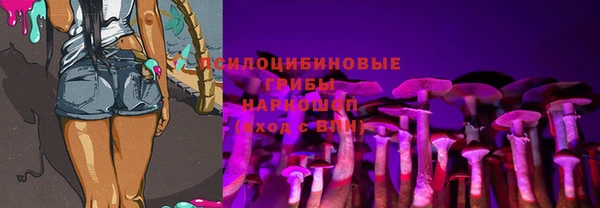PSILOCYBIN Абдулино