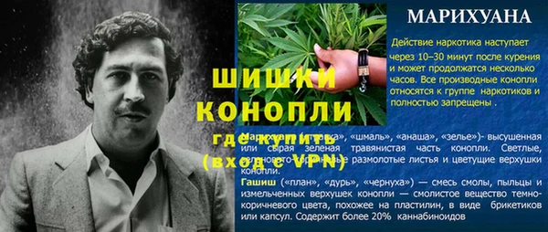 PSILOCYBIN Абдулино