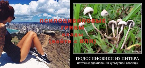 PSILOCYBIN Абдулино