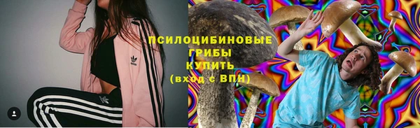 ПСИЛОЦИБИНОВЫЕ ГРИБЫ Нязепетровск