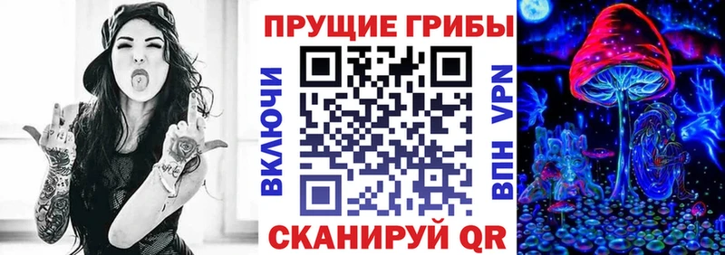 Псилоцибиновые грибы Psilocybine cubensis  OMG как зайти  Отрадный  купить наркотик 