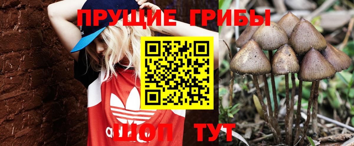 Отрадный  Галлюциногенные грибы прущие грибы  Вход с VPN 