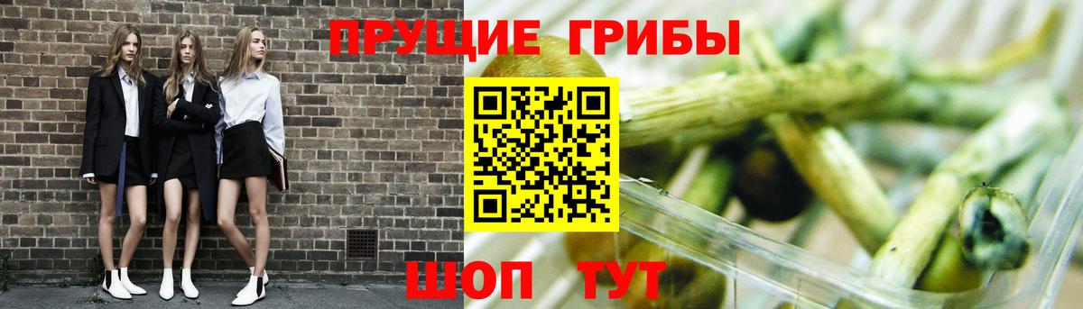 Галлюциногенные грибы Magic Shrooms Отрадный